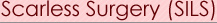 Scarless Surgery 